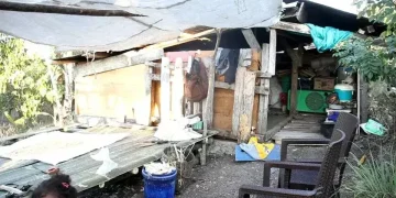 Rumah Hancur Diguncang Gempa, Satu Keluarga di NTT Tinggal di Kandang Babi
