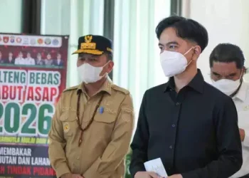 Wapres Gibran Tinjau Penanganan Karhutla Kalteng