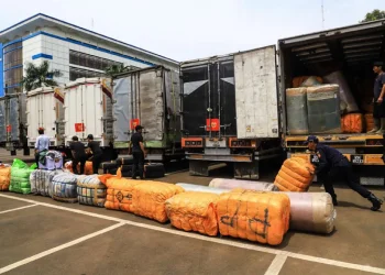 Menkeu Suahasil Tindak Impor Ilegal Senilai Rp 27 M