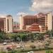 RS Kanker Dharmais Canangkan Net Zero Hospital