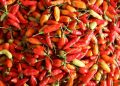 Harga Cabai Rawit Makin Pedas, Tembus Rp 90.050/Kg