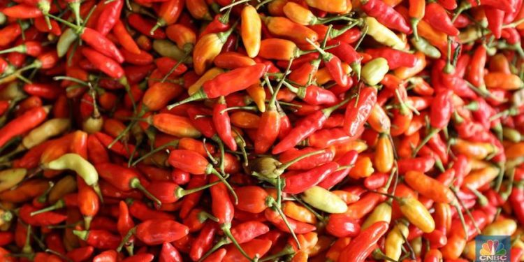 Harga Cabai Rawit Makin Pedas, Tembus Rp 90.050/Kg