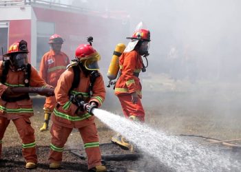 Pemerintah Kaji Angkat PPPK Damkar hingga Satpol PP Jadi PNS