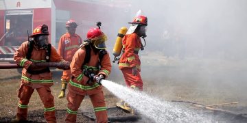 Pemerintah Kaji Angkat PPPK Damkar hingga Satpol PP Jadi PNS