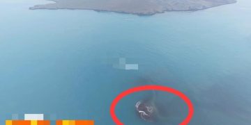 Daratan Baru 30,3 Hektare Muncul di Dekat Gunung Anak Krakatau